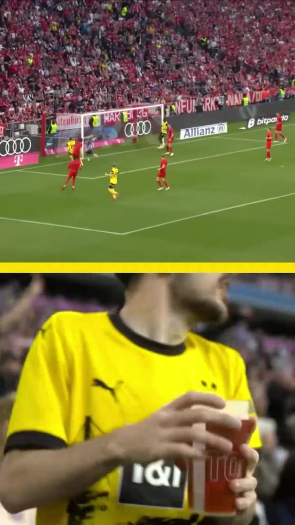 勇者無(wú)懼！這是真多特球迷！在拜仁球迷區(qū)一個(gè)人肆意慶祝！